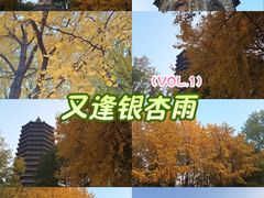 -玲珑塔公园