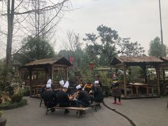 -青城甲(青城山店)