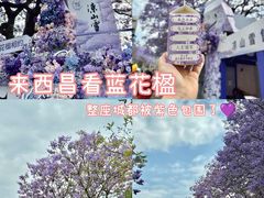 -西昌邛海湿地