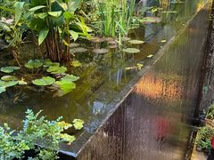 -肴约·花园式餐厅(湖里店)
