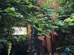 -斯多格书乡(北京大学畅春园店)
