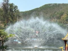 -西双版纳原始森林公园