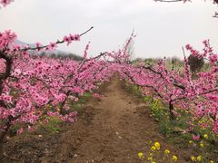 -肯德基(西安电子城店)