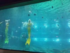 -福州罗源湾海洋世界旅游区