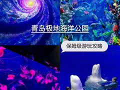 -海合安青岛极地海洋公园