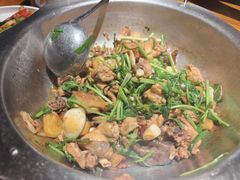-九道菜有鸡鱼头(石鼓路店)