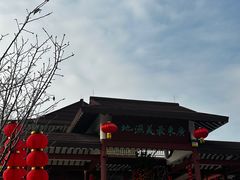 -大湾区中央湿地公园