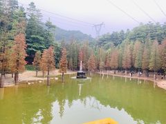 -广州市帽峰山景区
