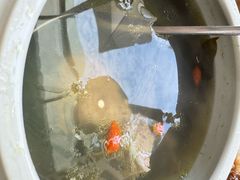 -宋小谨·泉州菜(西沙湾店)