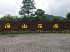 -径山花海