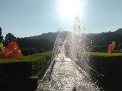 -东南花都花博园