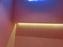 -狐狸和向日葵(北京路店)