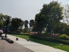 -金沙湖公园