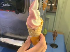 -新海渔港·胶东海鲜家常菜·家宴(奥体中心店)
