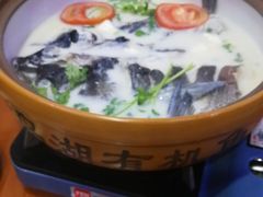 -全乐鱼馆·淳牌有机鱼直营店