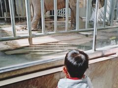 -石家庄市动物园