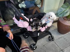 -Ameigo梅果·云贵川bistro(长宁来福士店)