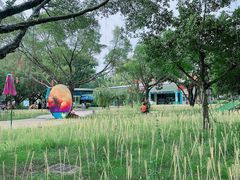 -光明农场大观园