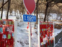 -香山公园