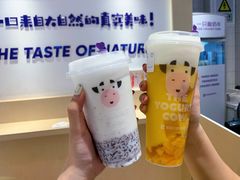 -一只酸奶牛(时代天街A馆店)