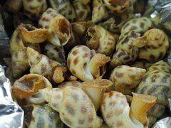 -大东海海鲜酒楼(渔人码头总店)