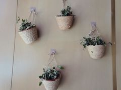 -桃花江餐厅·江景-约会·聚会