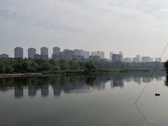 -前关湿地公园