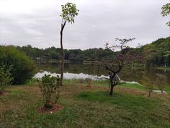 -东莞植物园