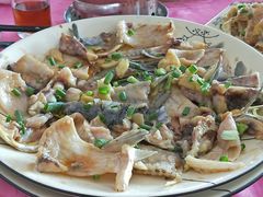 -杏坛公平靓正(伦教滨江店)