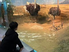 -吉林省自然博物馆