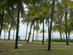 -三亚湾海居铂尔曼度假酒店