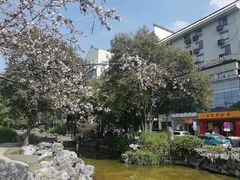 -怡园饭店-餐厅(四望亭店)