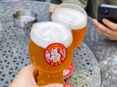 -Boxing Cat Brewery拳击猫精酿啤酒馆(思南公馆店)