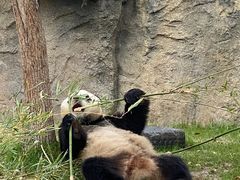 -上海野生动物园