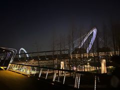 -南京眼步行桥