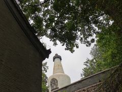 -大觉寺-停车场