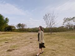 -盘龙城国家考古遗址公园