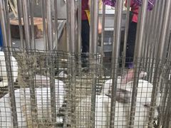 -灶东家民间菜(回兴店)