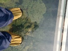 -四会奇石河风景区