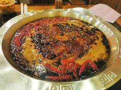 红汤锅底-大龙火锅(老店)