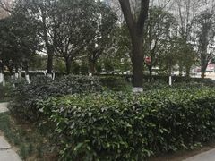 -莲湖公园