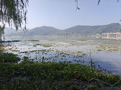-鸣鹤古镇