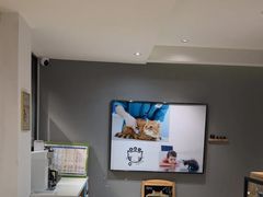 -御宝贝·A梦猫科宠物医院(国际猫友好医院)