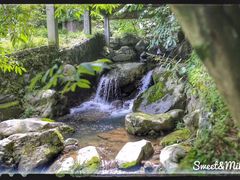 -藏龙百瀑风景区