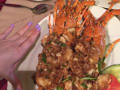-Red Lobster