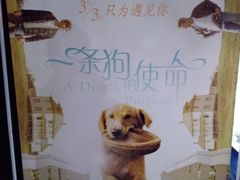 -华星国际影城
