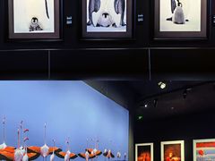 -罗红摄影艺术馆