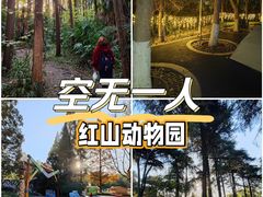 -红山森林动物园