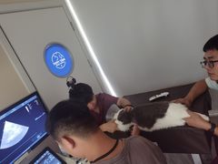 -芭比堂动物医院·24小时·眼科中心(深圳中心)