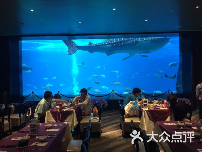 长隆海底餐厅-图片-珠海美食-大众点评网